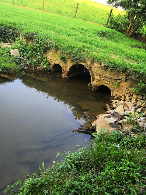 Free Bridge Creek photo and picture