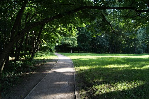 Park, Nature, Trees, Oak, Summer, Path