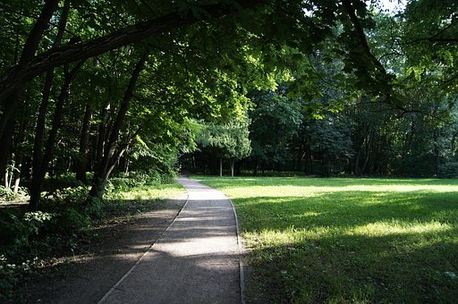 Park, Nature, Trees, Oak, Summer, Path