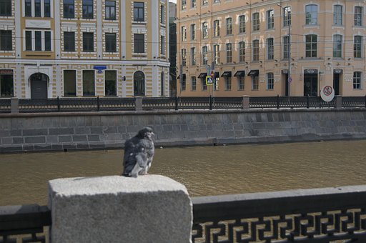 Embankment, Architecture, Capital, City