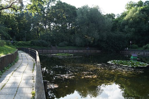 Path By The Pond, In The Park