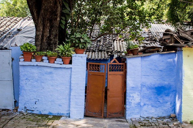 Free India House photo and picture