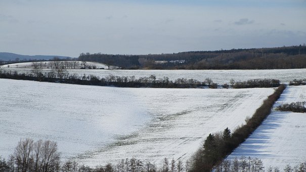 Winter, Land, Veld, Natuur, Sneeuw, Woud