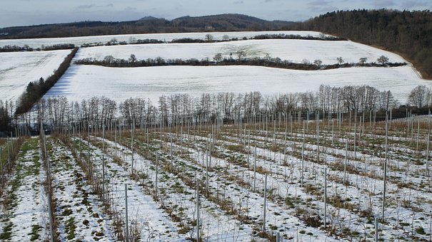 Winter, Land, Tsjechisch, Natuur, Sneeuw