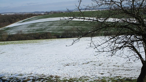 Winter, Land, Boom, Veld, Sneeuw, Natuur