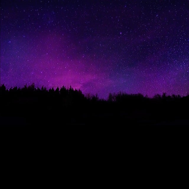 Free mountain trees night sky illustration