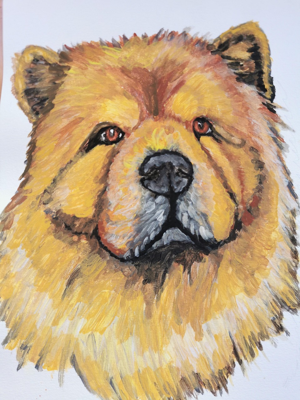 Dog Chow Free Photo On Pixabay Pixabay dog-chow-free-photo-on-pixabay-pixabay