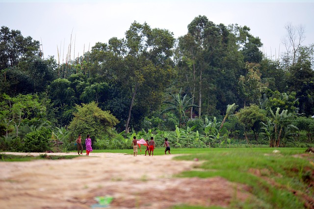 Free The Village Bangladesh photo and picture