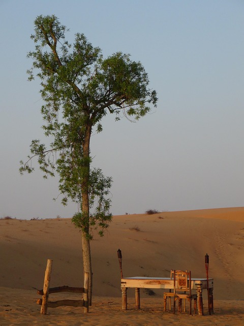 Free Desert Dubai photo and picture
