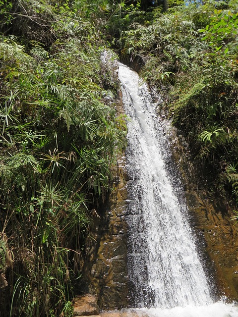 Free Waterfall Madagascar photo and picture