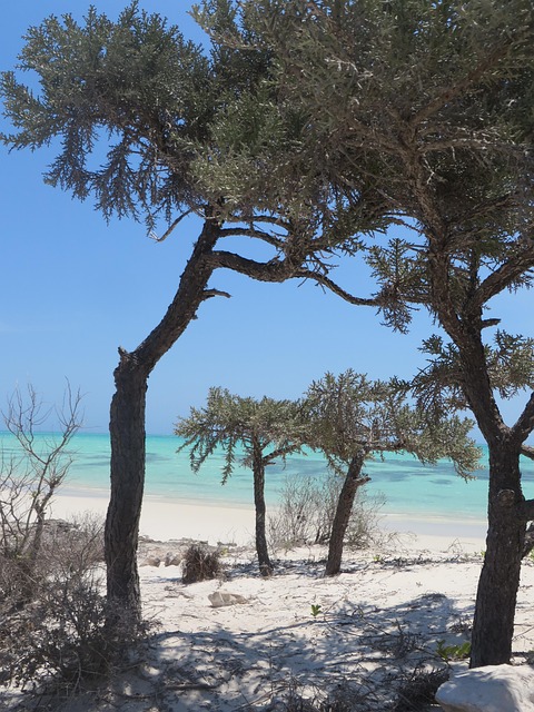Free Beach Madagascar photo and picture
