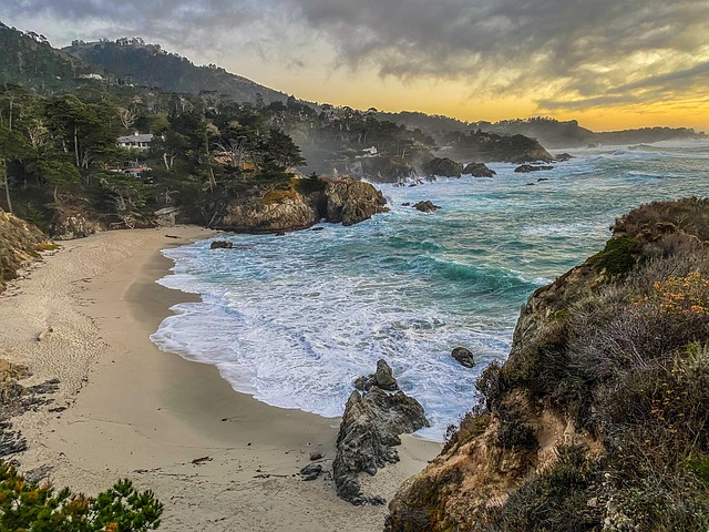 Free Point Lobos California photo and picture