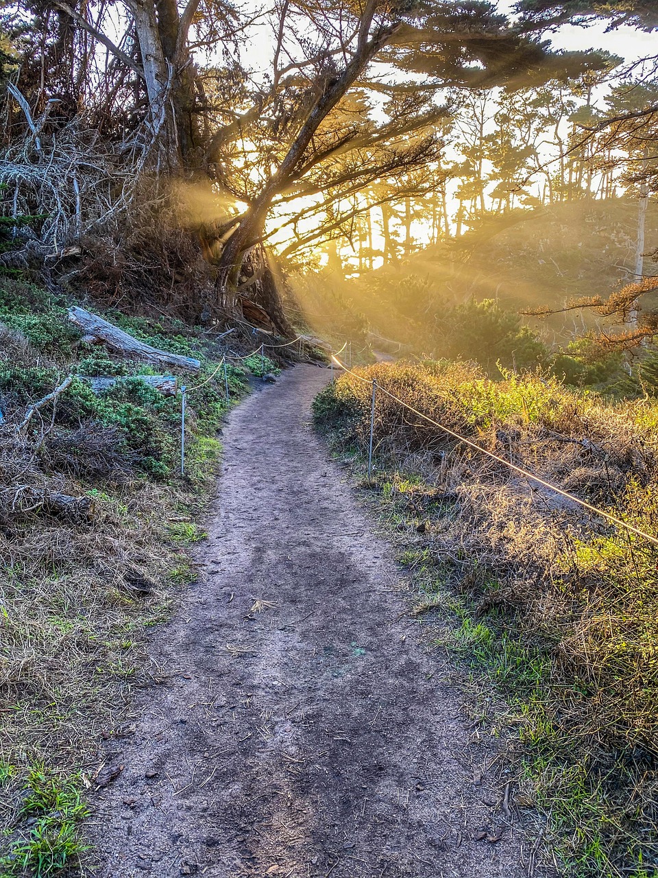 Point Lobos California - Free photo on Pixabay