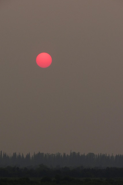 Free Sun Red Sun photo and picture