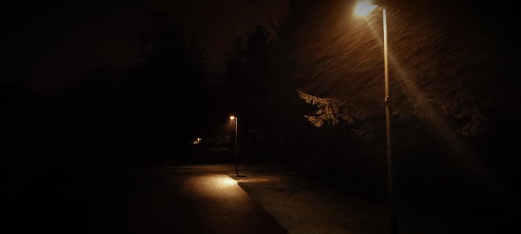 Free Night Park photo and picture
