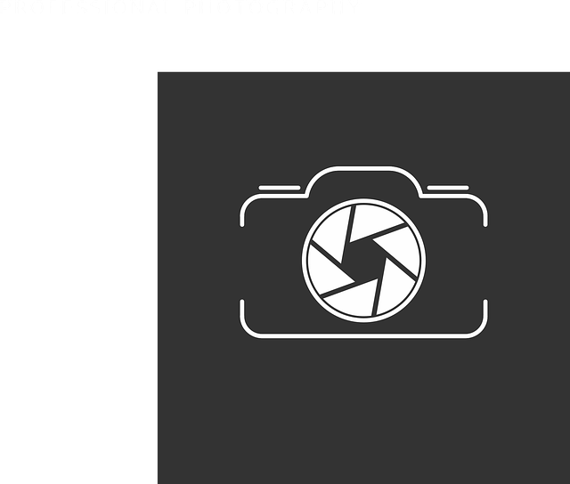 Free Camera Photography vector and picture