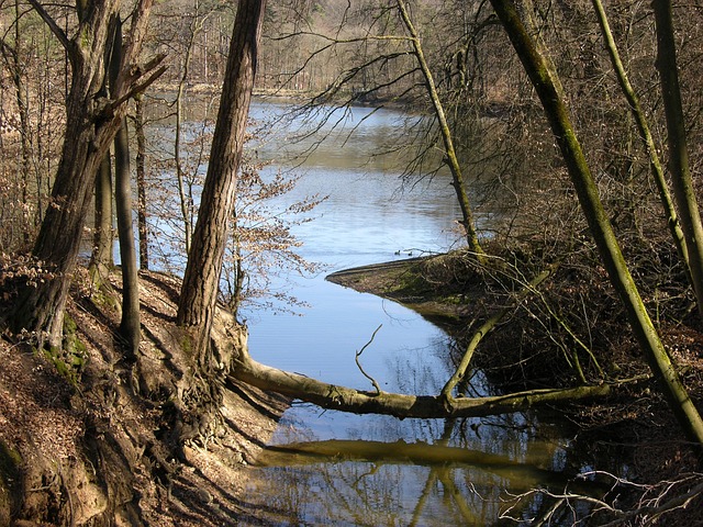 Free Lake Water photo and picture