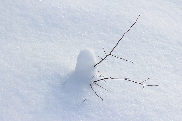 Schnee, Winter, Weiß, Pure, Hintergrund