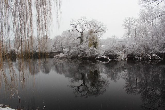 Free Flow Winter photo and picture