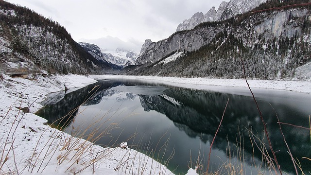 Free Wilderness Nature photo and picture