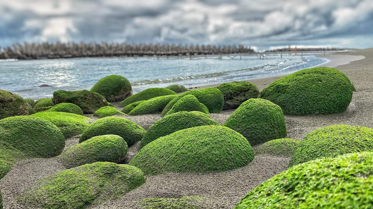 Roca Rocas Paisaje - Foto gratis en Pixabay - Pixabay