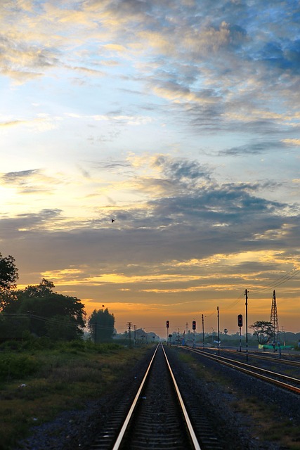 Railway, Morning, The Journey, Nature