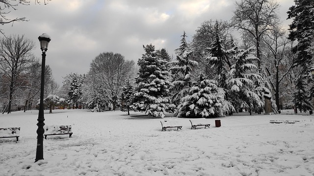 Free Bulgaria Sofia photo and picture