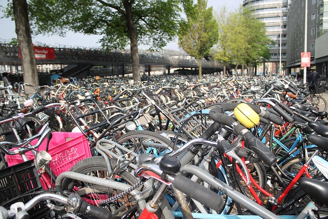 Free Amsterdam Bicicleta photo and picture