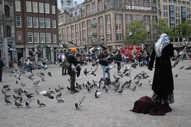 Free Amsterdam Place photo and picture