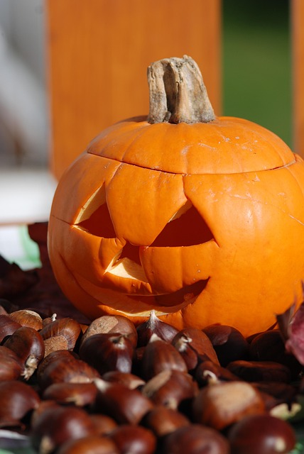 Free Pumpkin Helloween photo and picture