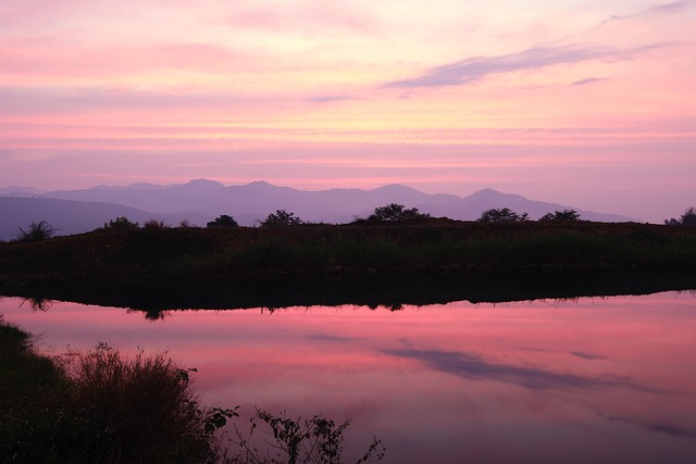 País, Lago, Montaña, Casa, Bosque