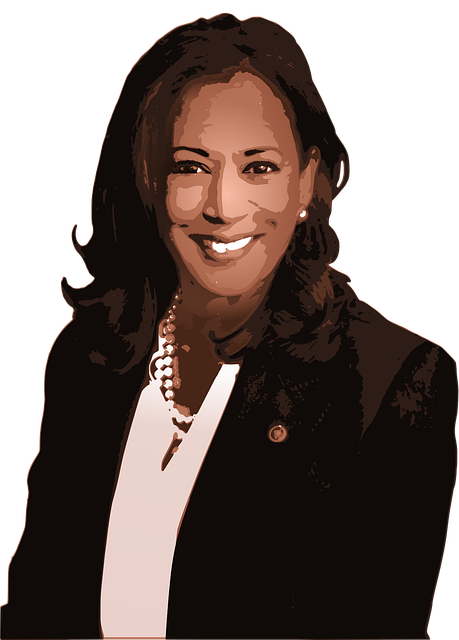 Free senator politics government vector