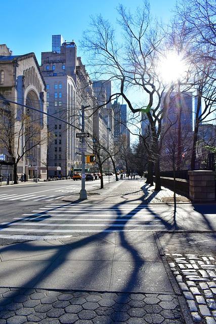 Free Fifth Avenue New York photo and picture