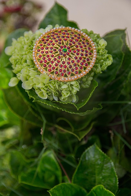 Mireasă, Colier, Ornament, Nuntă, Femeie