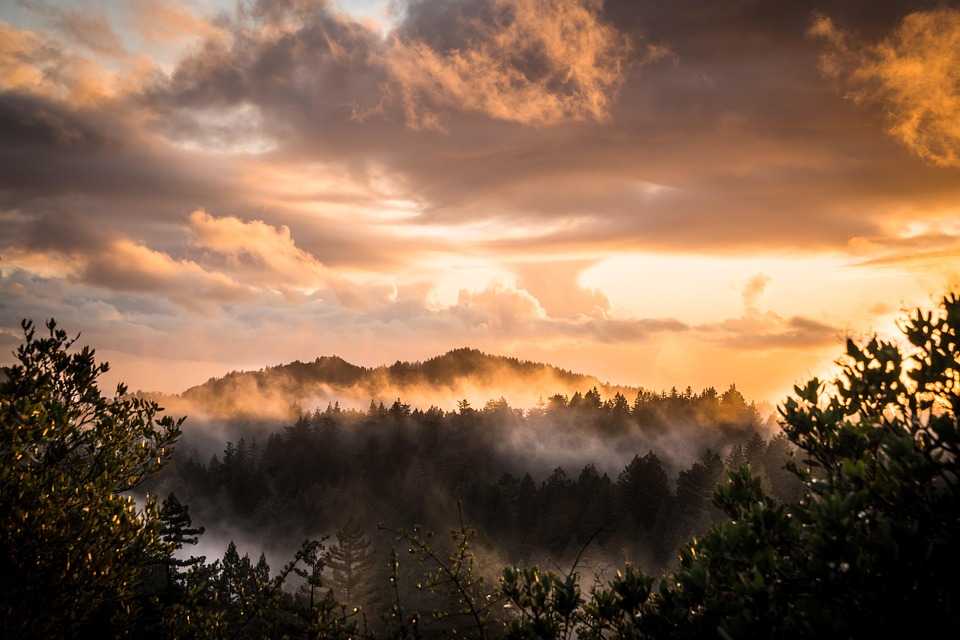 Big Basin Redwood State Park, Landscape