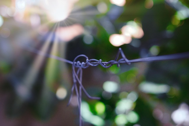 Free Courtyard Wires photo and picture
