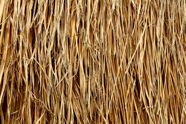 Padronizar Palha Trigo - Foto gratuita no Pixabay