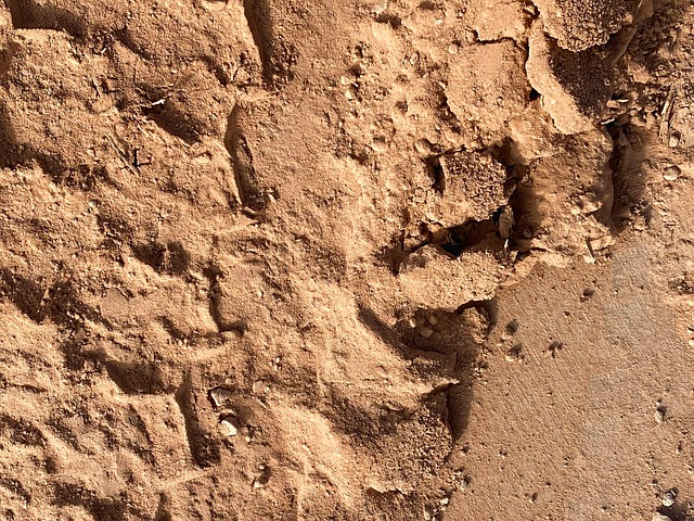 Free Construction Site Dirt photo and picture