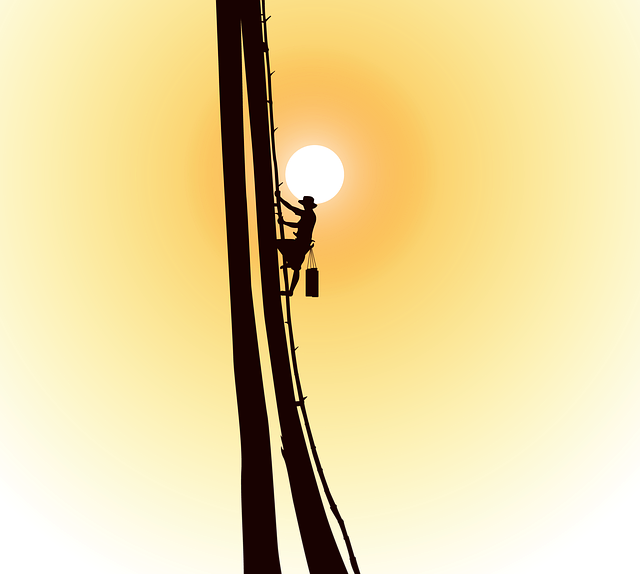 Free palm tree man sunset illustration