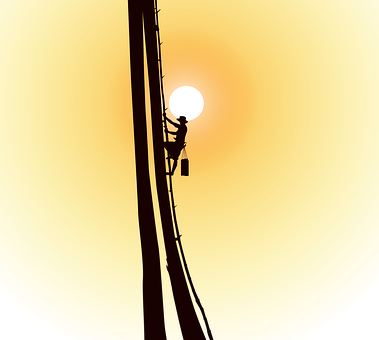 Free Palm Tree Man illustration and picture