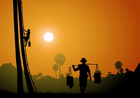 Free Palm Tree Farmers photo and picture