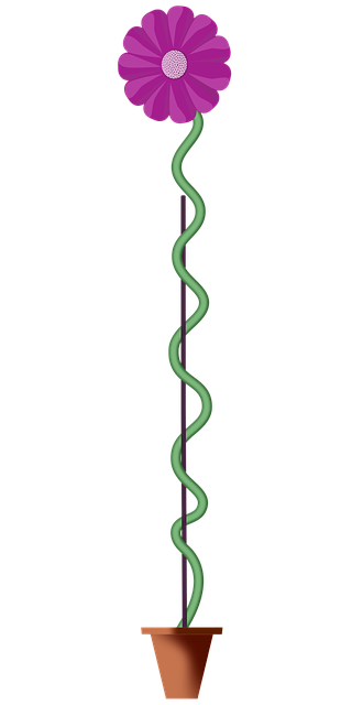 Free daisy vine plant vector