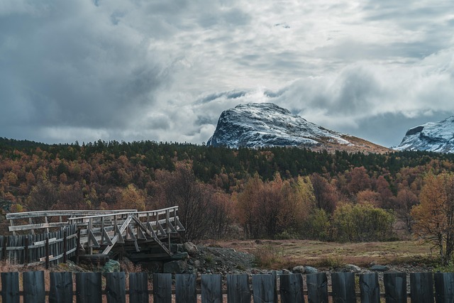 Berge, Landschaft, Norwegen, Natur, Wald