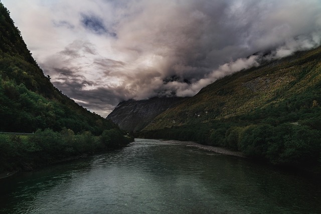 Berge, Landschaft, Norwegen, Natur, Wald