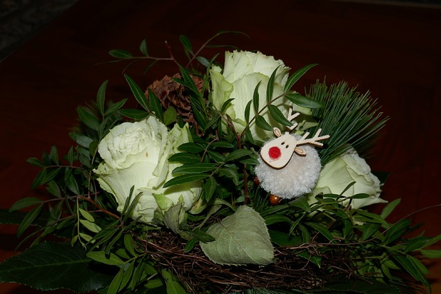Free Roses White photo and picture