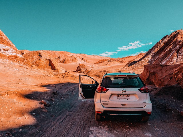 Free Atacama Desert photo and picture