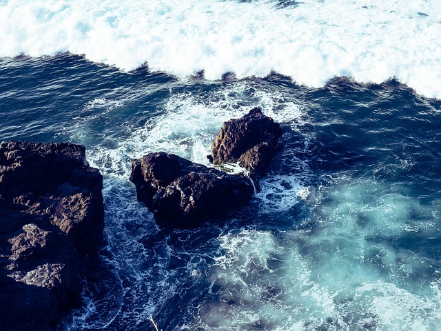 Free Sea Waves photo and picture