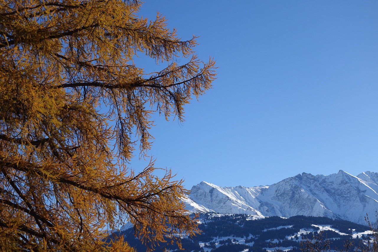 Schne Deutschland Urlaub Herbst Bilder