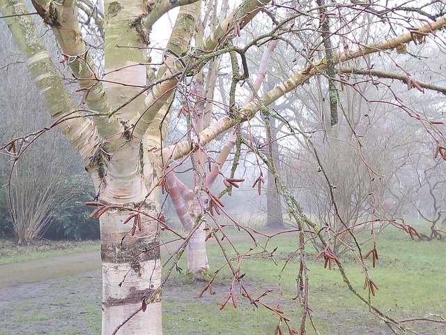 Free Cambridge Botanic Gardens photo and picture