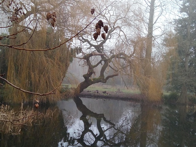 Free Cambridge Botanic Gardens photo and picture